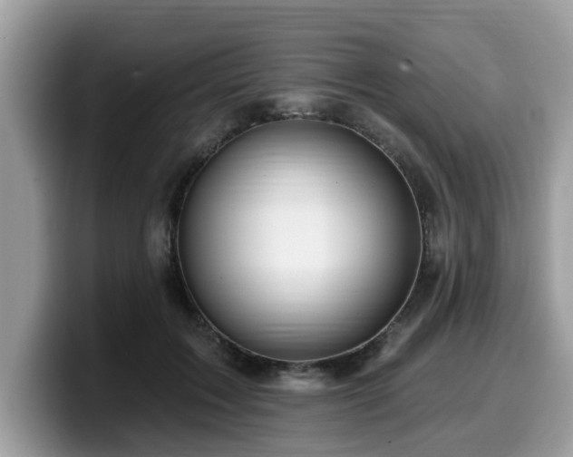 X0000099960603200805301315