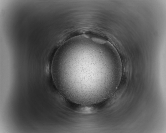 X0000099960610200805301315
