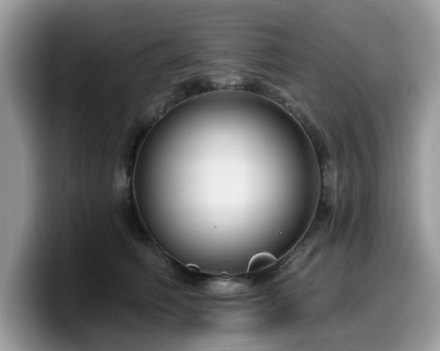 X0000099960614200805301315