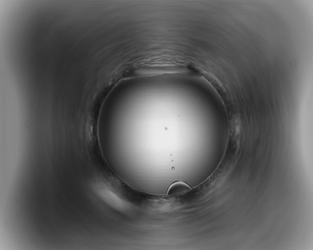 X0000099960615200805301315