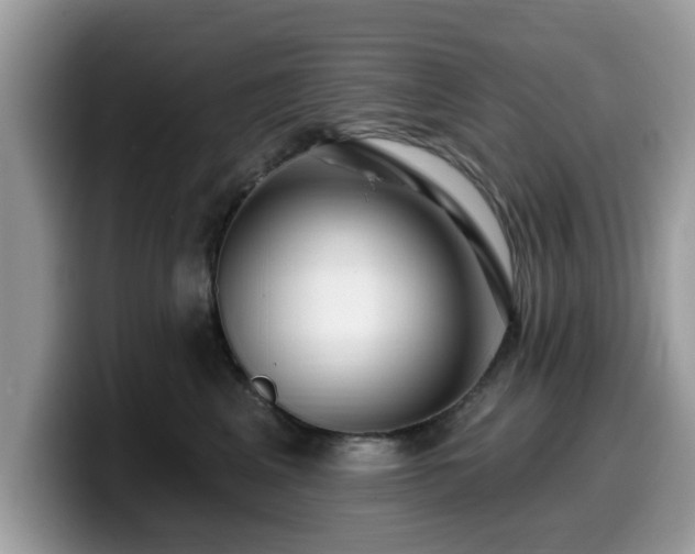 X0000099960617200805301315