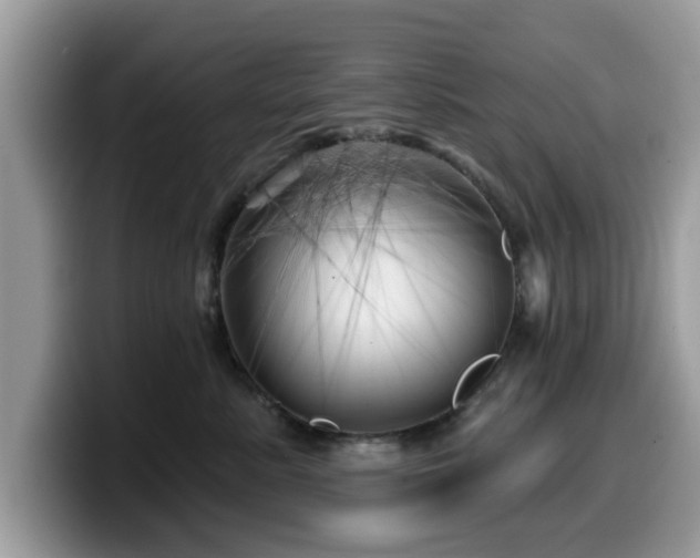 X0000099960619200805301315