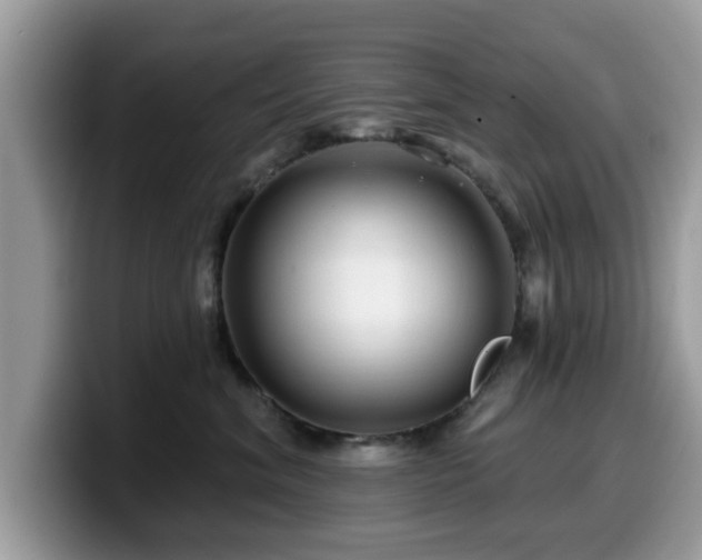 X0000099960620200805301315