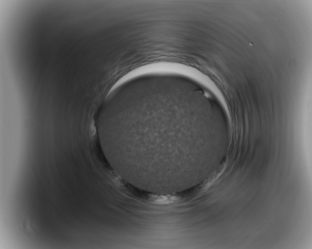 X0000099960621200805301315