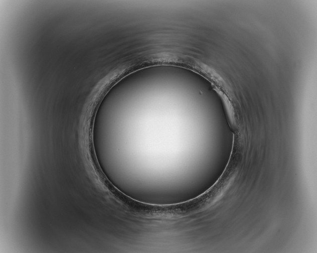X0000099960625200805301314