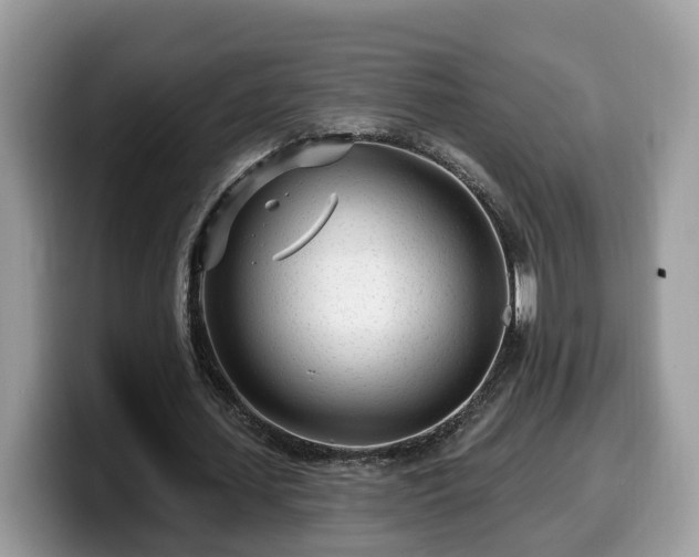 X0000099960627200805301314