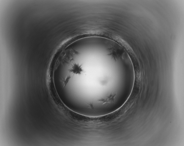 X0000099960628200805301314