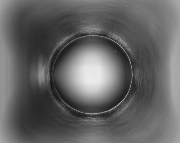 X0000099960629200805301314