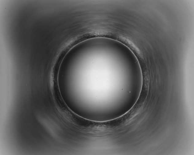 X0000099960631200805301314