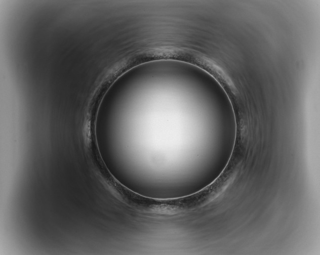X0000099960633200805301314