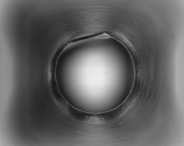 X0000099960635200805301314