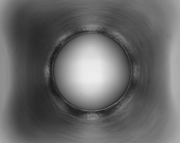 X0000099960636200805301314