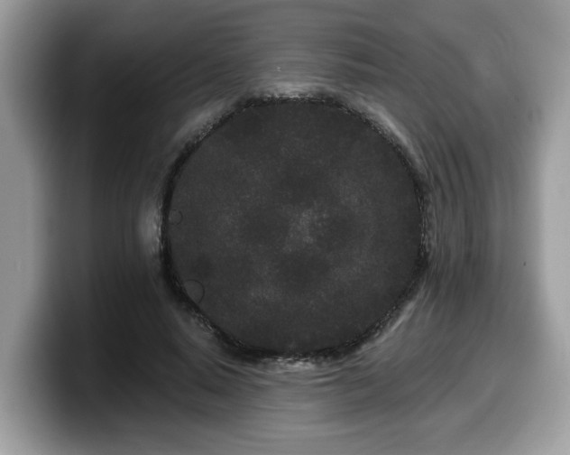 X0000099960640200805301315