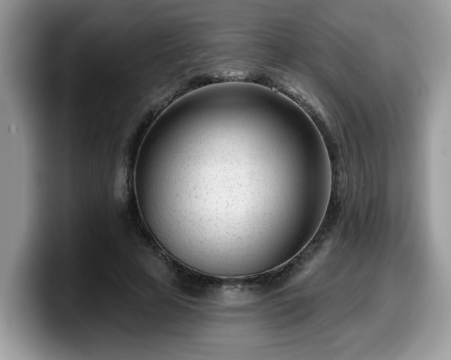 X0000099960641200805301315