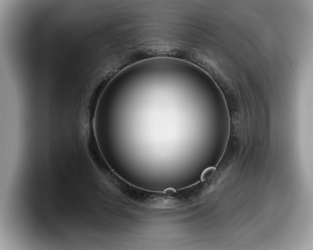 X0000099960642200805301315