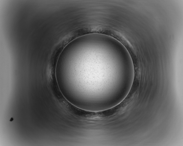 X0000099960643200805301315