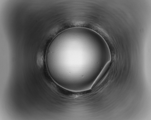 X0000099960644200805301315
