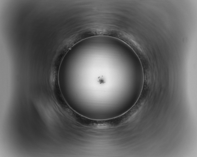 X0000099960645200805301315