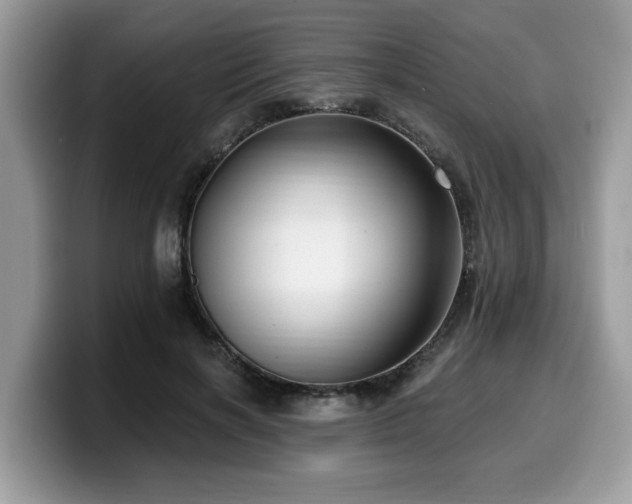 X0000099960646200805301315
