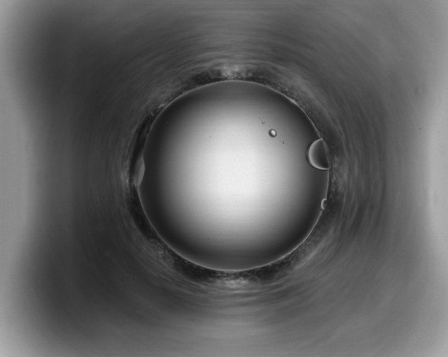 X0000099960650200805301315