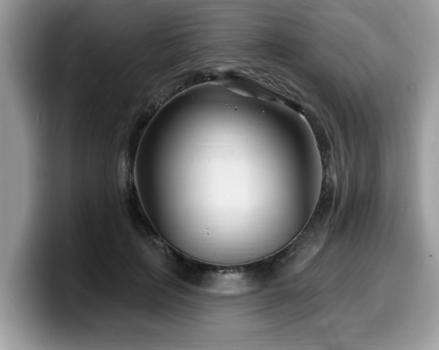 X0000099960651200805301315