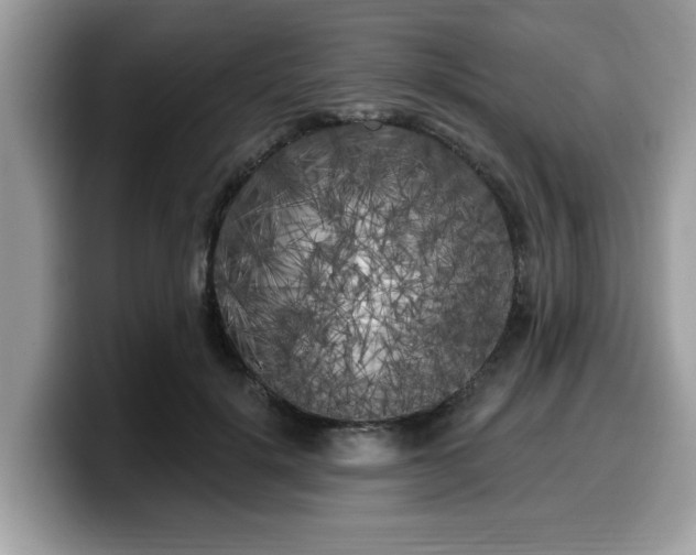 X0000099960652200805301315