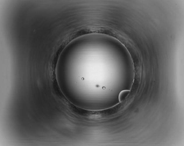 X0000099960653200805301315