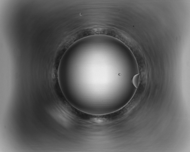 X0000099960654200805301315