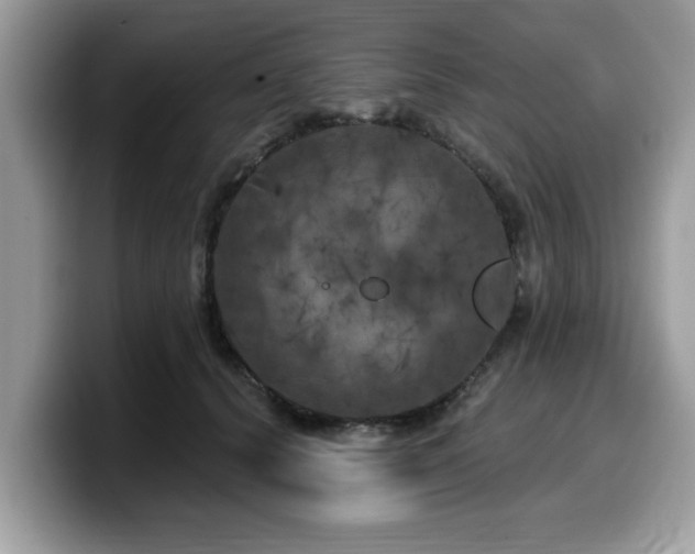 X0000099960656200805301315