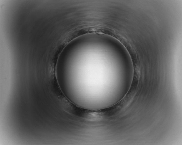 X0000099960657200805301315