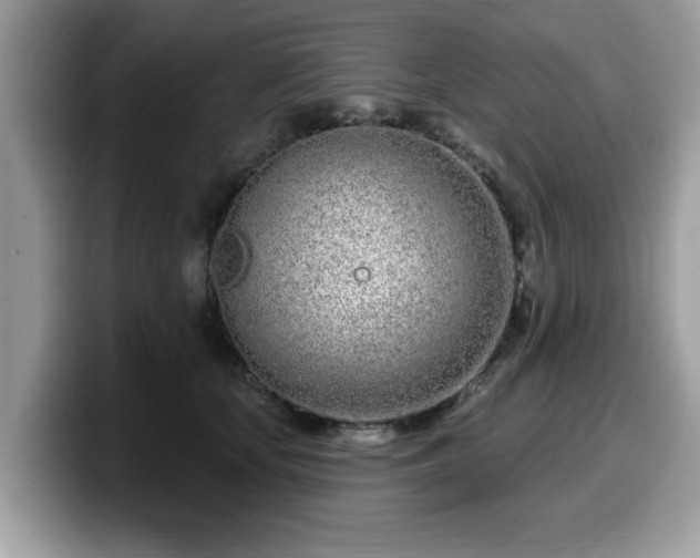 X0000099960659200805301315