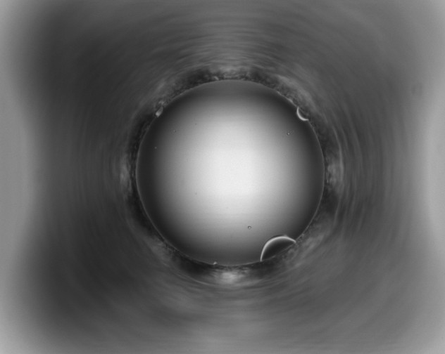 X0000099960662200805301315