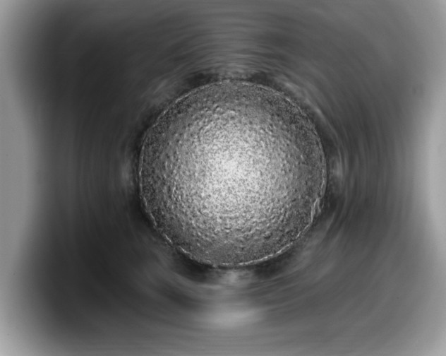 X0000099960663200805301315