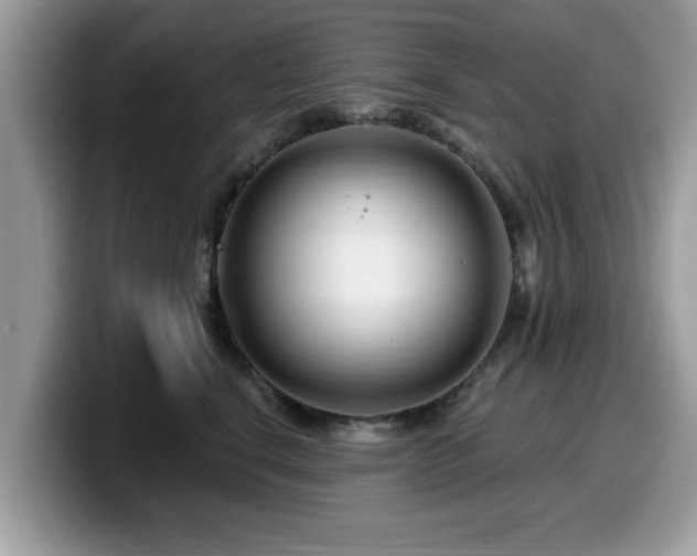 X0000099960664200805301315