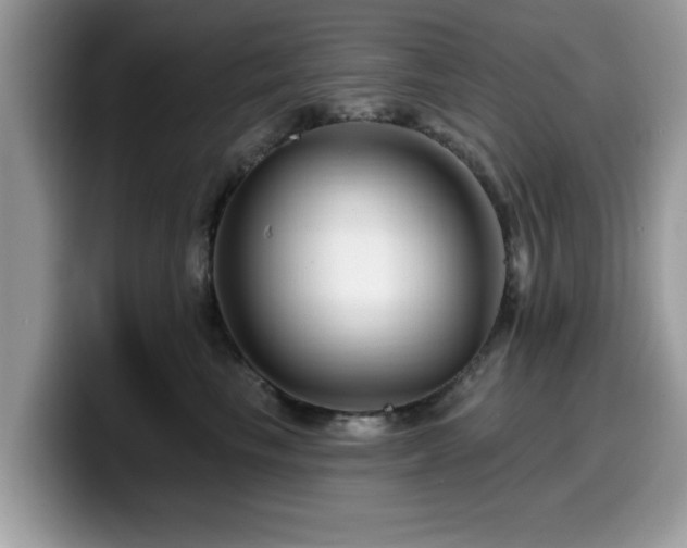 X0000099960665200805301315