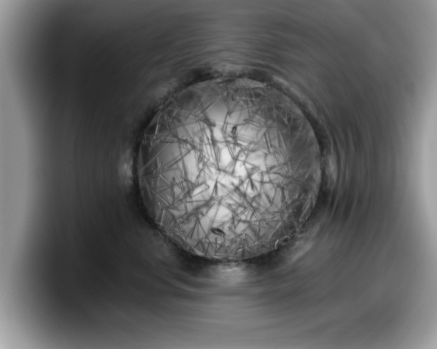 X0000099960668200805301315