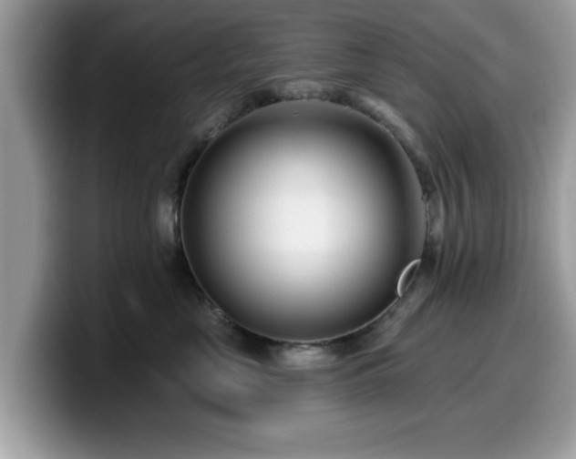 X0000099960669200805301315