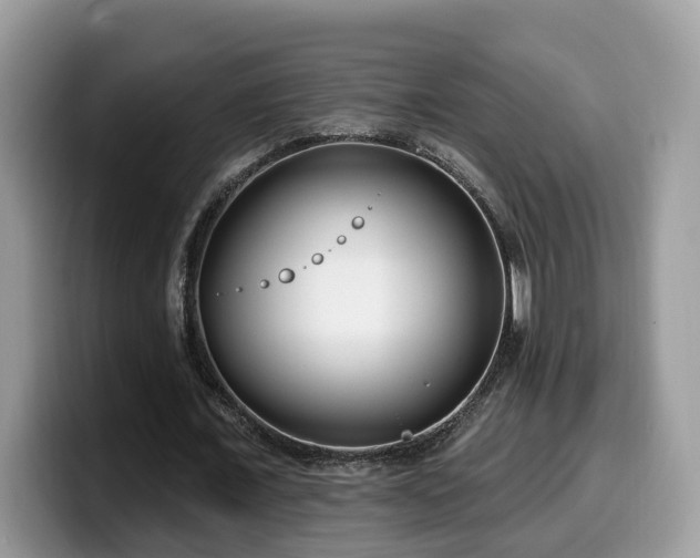 X0000099960675200805301314