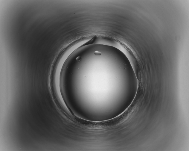 X0000099960677200805301314