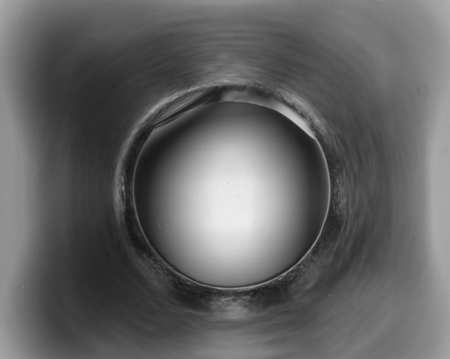 X0000099960680200805301314