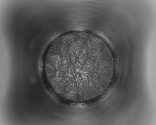 X0000099960683200805301314