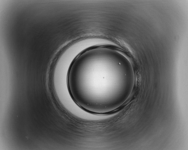 X0000099960684200805301314