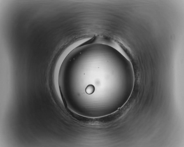 X0000099960685200805301314