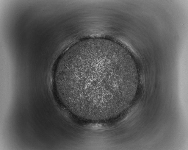 X0000099960687200805301314
