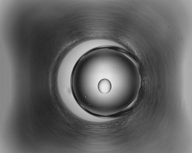 X0000099960688200805301314