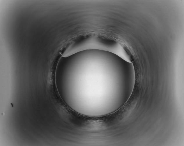 X0000099960689200805301314