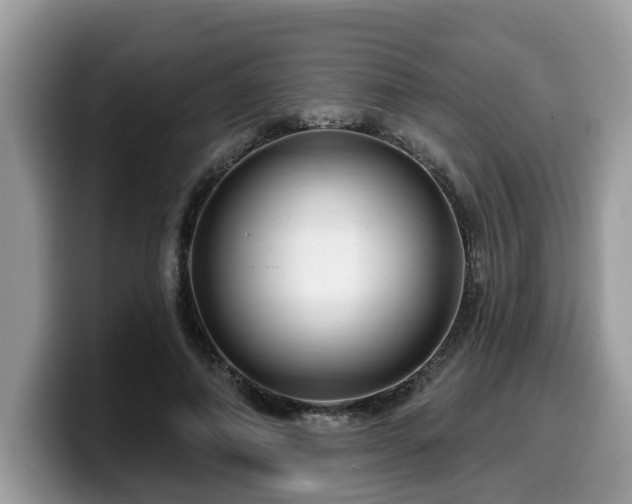 X0000099960690200805301314