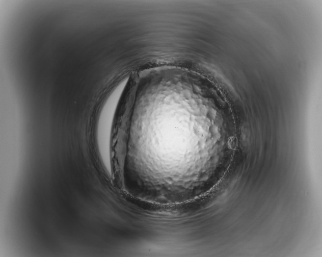 X0000099960691200805301314