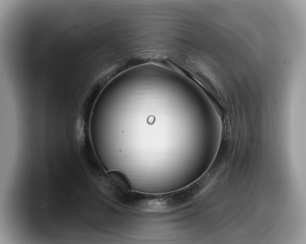 X0000099960692200805301314