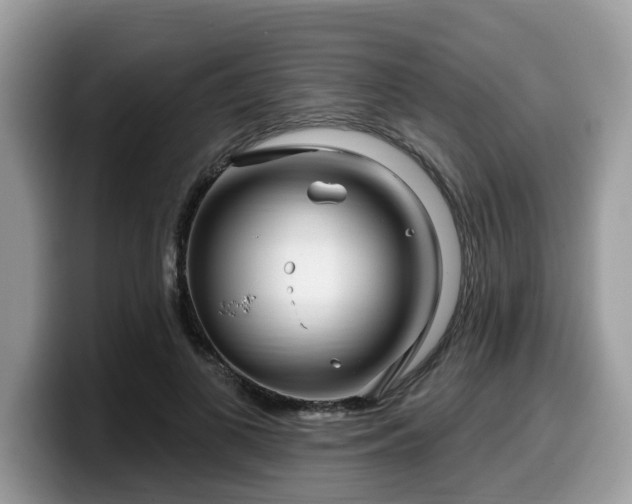 X0000099960693200805301314